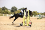 SBM_001934