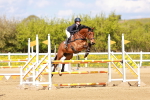 SBM_001829