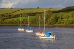 Moorings on the  Teifi No4