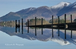 Reflections Under The Jetty