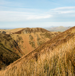 Burway Hill from above Townbrook Hollow