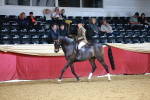 SBM_19317
