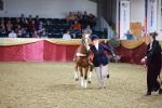 SBM_14935