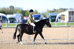 SBM_08706