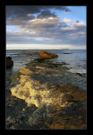 Distant Farne Isles