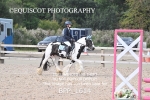 BPP_1614