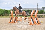 CLASS 15 SUN Pony Discovery / 90cm Open portfolio