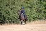 WJ6_6869
