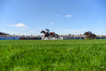 120826-Race 5-Ciao Capo-6456