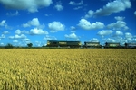 21st July 2010