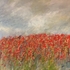 Poppies II