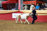 SBM_18448