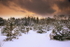Winters Grip
