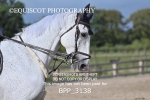 BPP_3138