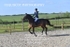 BPP_4467