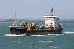 160815 SAND HERON Y92A3675