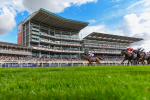 260823-Race 3-Kinross-1591