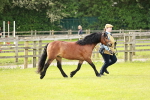 SBM_00457