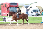 SBM_00345
