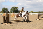 SBM_03365