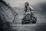 Lawn Mower Sark Hillclimb_2020-42