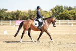 SBM_017320