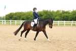 SBM_006616