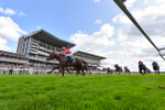 230824-Race 4-Bradsell-4291