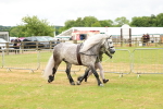 SBM_00646