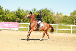 SBM_000950