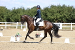 SBM_013991
