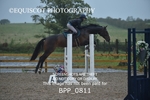 BPP_0811