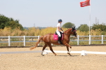 SBM_005025
