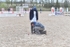 BPP_1301