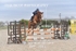 BPP_3922
