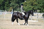 WJ7_3429