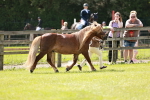SBM_02447