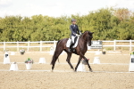 SBM_010959