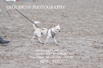 BPP_3467