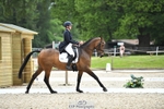 115-RNH_ULTIMATE-Harriet_Wright-WEDTrotUp+DR portfolio