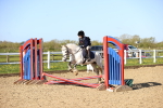 SBM_000164