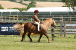 SBM_05380