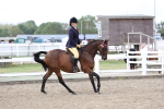 SBM_01484