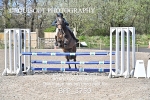 BPP_3750