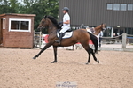 Cls 5 Snr Foxhunter and 1.20m Open portfolio