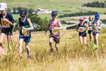 Tebay U13-60