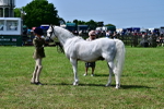 SBM_03888