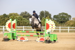 SBM_03355
