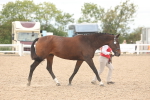 SBM_17034