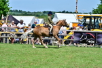 SBM_07894